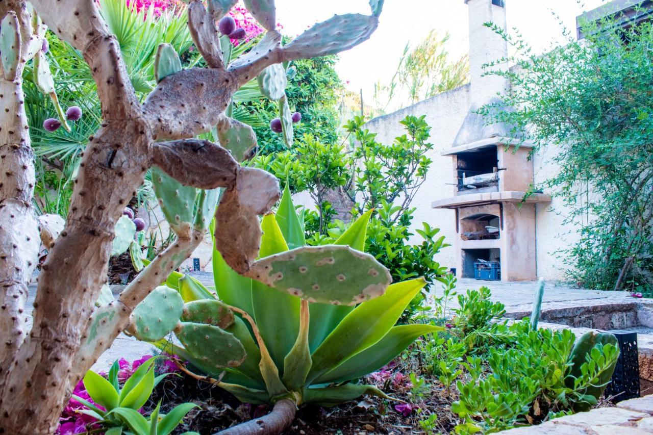 Villino Agave Villa San Vito Lo Capo Exteriör bild